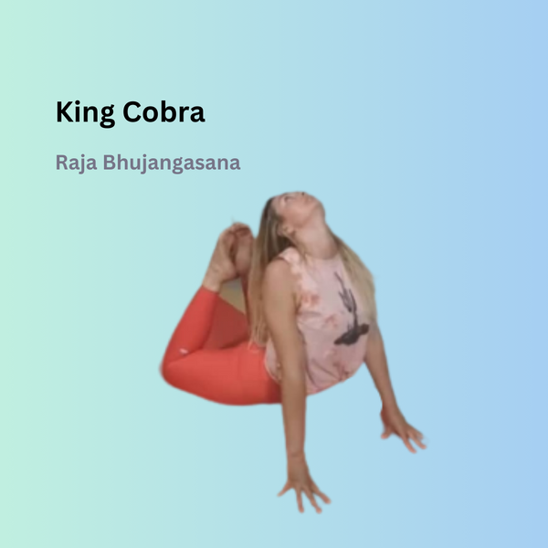 King Cobra